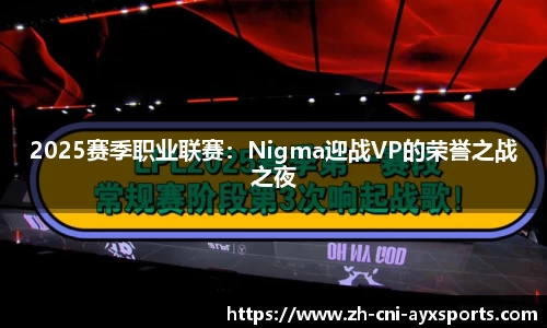 2025赛季职业联赛：Nigma迎战VP的荣誉之战之夜